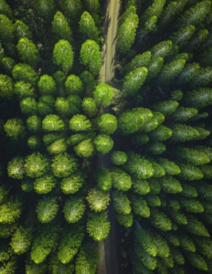 Top Drones for Stunning Aerial Photography in 2024