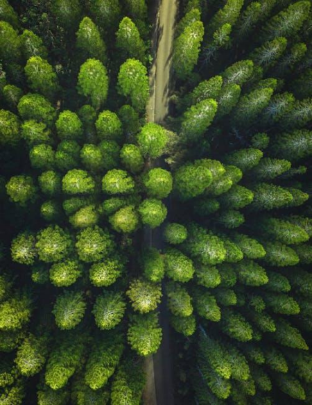 Top Drones for Stunning Aerial Photography in 2024