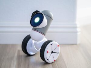Pet-Friendly Motion Sensors: How They Keep Pets Safe